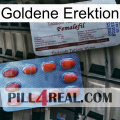 Golden Erection 36